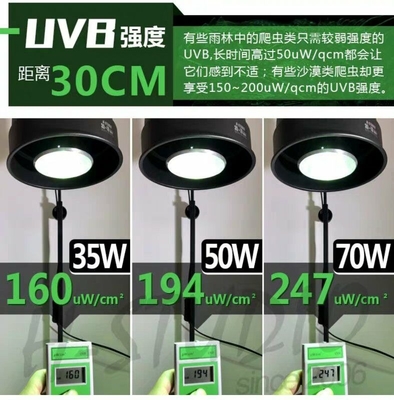 35W 유충 UVB PAR E27 알루미늄 HID 램프 6000K 테라리움을위한 낮 빛 경고