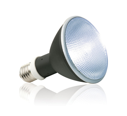 지속가능한 60w 45w 30w HID 금속 하리이드 발라스트 UVB 파충류 UV 램프